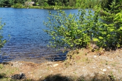 IMG_20200604_121813-1