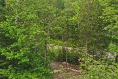 IMG_20200609_142332